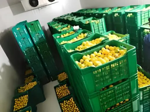 nandikoti_Lemon Cold Storage